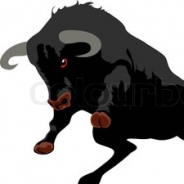 Aron Bull's Profile Picture