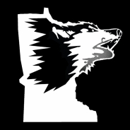 Team Profile Picture
