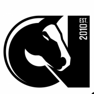 Team Profile Picture
