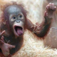 Troy Morris's Profile Picture
