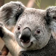 Justin Howard's Profile Picture