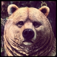 Shane Mielke's Profile Picture