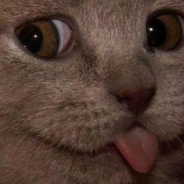 Nick Wang's Profile Picture