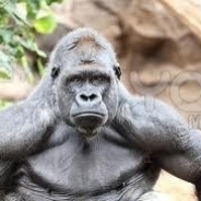 Justin Watters's Profile Picture