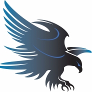 Team Profile Picture