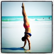 Taylor Shoemaker's Profile Picture