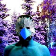 Kaz Robertson's Profile Picture