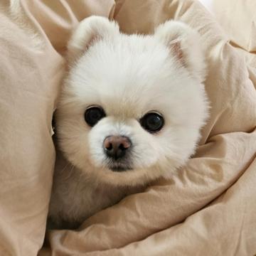 gwiwook kim profile photo