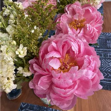 Hannah Cole-Butler profile photo