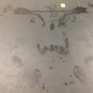 Justin Costello profile photo