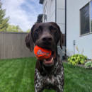 Sarah Lang profile photo