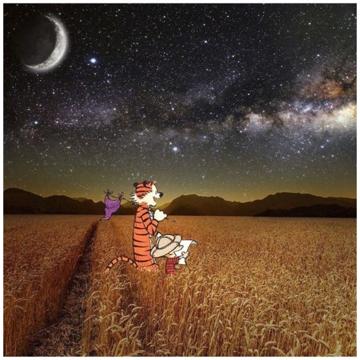 Matthew Brown profile photo