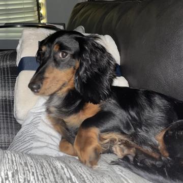 Amanda Chemel profile photo