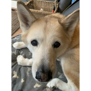 Andrea Hyde profile photo