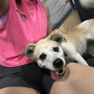 YIQIAN ZHONG profile photo