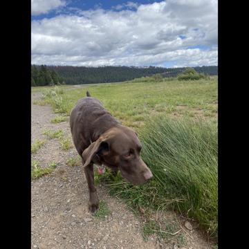 Kim Vincent profile photo