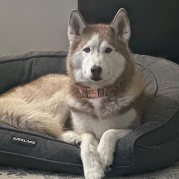 Jared Garlow profile photo