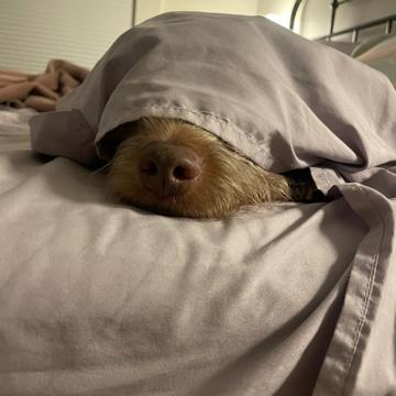 Kate Brinkley profile photo