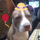 Sofía Racheff profile photo