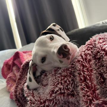 Maggie Lanham profile photo