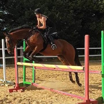 Catherine Jenvey profile photo