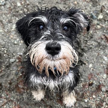 Colin Fernandes profile photo