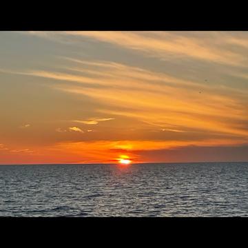 Ainsley Bergmann profile photo