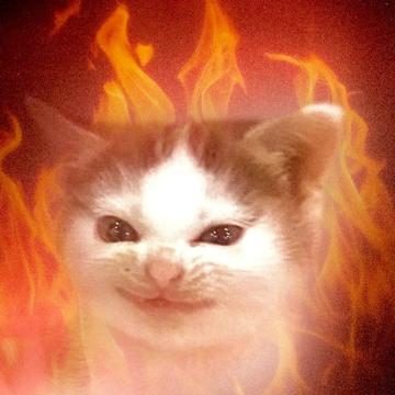 Phoebe Swallow profile photo