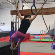 Sina Meissgeier profile photo