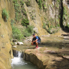 Judy Eagles profile photo