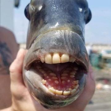 Noel Bowers profile photo