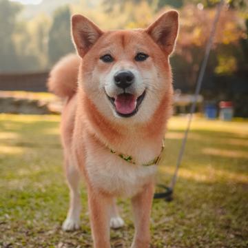 Chien-Chih Chen profile photo