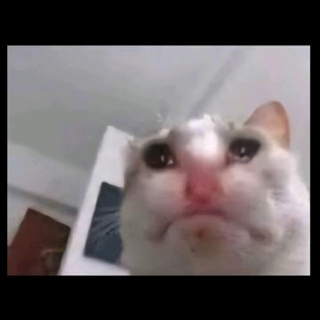 Lauren Smith profile photo