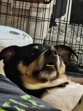 Saul Hernandez profile photo