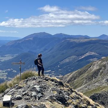 Raewyn Eyles profile photo