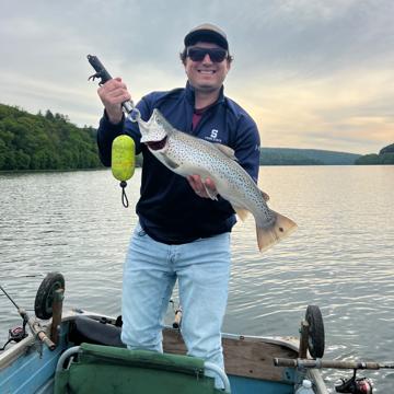 Steven Walls profile photo