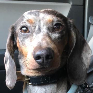 Aleix Franch Ruiz profile photo