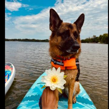 William Theodore profile photo