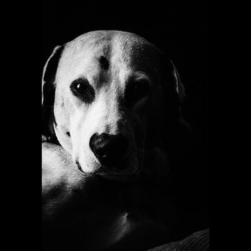 Lance Mckeever profile photo