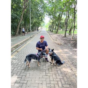 Laércio Oliveira dos Reis profile photo