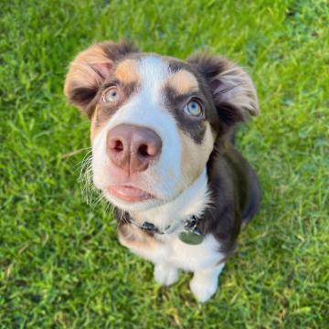 Tyrone Soltesz profile photo