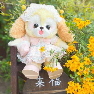 Yuanyuan Wang profile photo