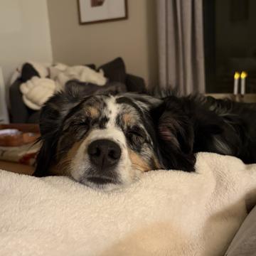 Eric Linck profile photo