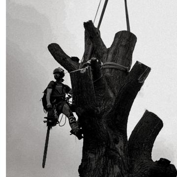 Jordan Hasbrouck profile photo