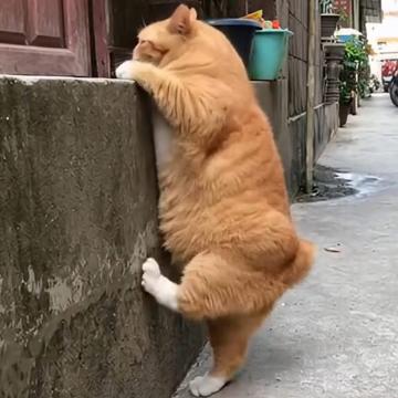 Junho Jung profile photo