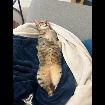 Yang Lee profile photo