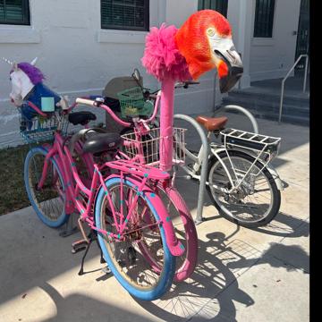 Celeste Jenkins profile photo