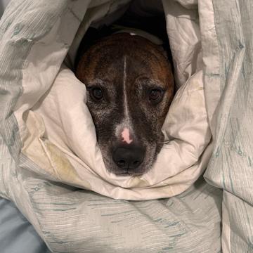 Jennifer Melendez profile photo