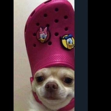 Christian Ripley profile photo