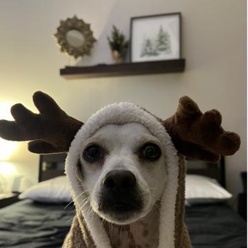 Yasmin Melendez profile photo